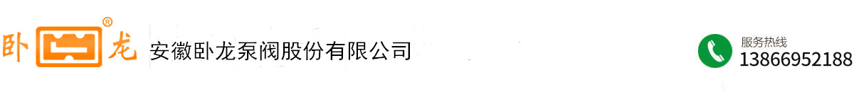 安徽卧龙泵阀股份有限公司